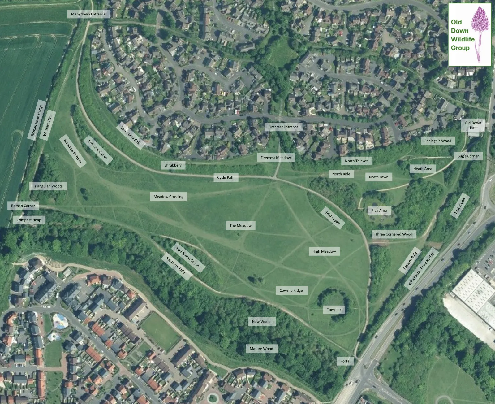 Aerial photograph of Old Down labelled with the group's names for each area,
            including the Manydown and Firecrest entrances, Old Down Hall, the cycle path,
            The Meadow, High Meadow, Cowslip Ridge, the tumulus and the surrounding woods.
