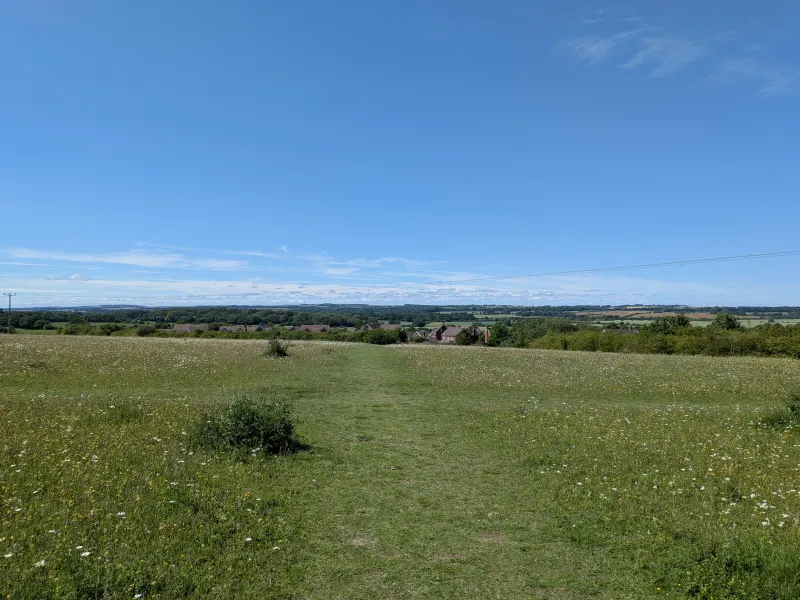Looking out across the open grassland of Old Down on a summer's day